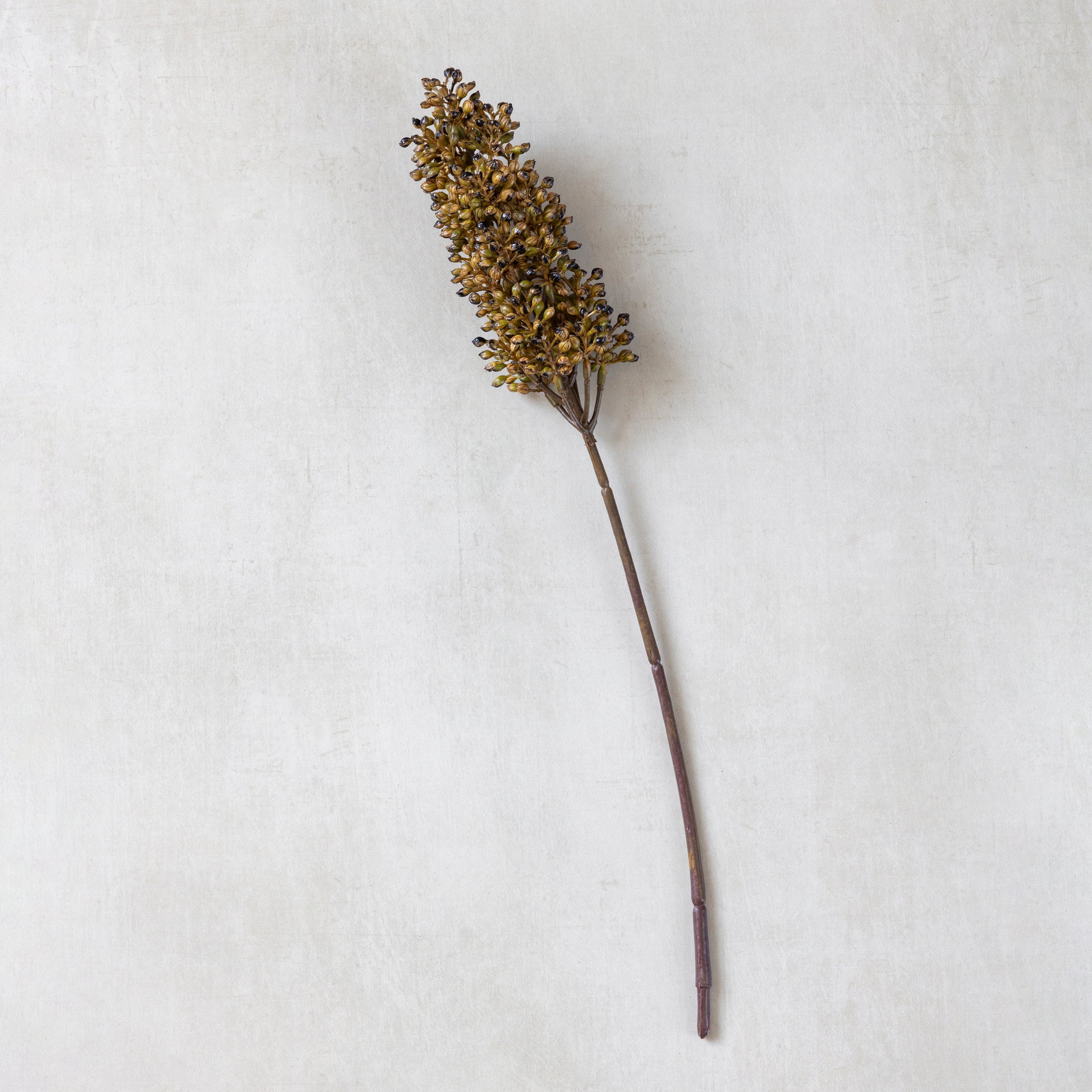 Artificial Sorghum Stem, Umber