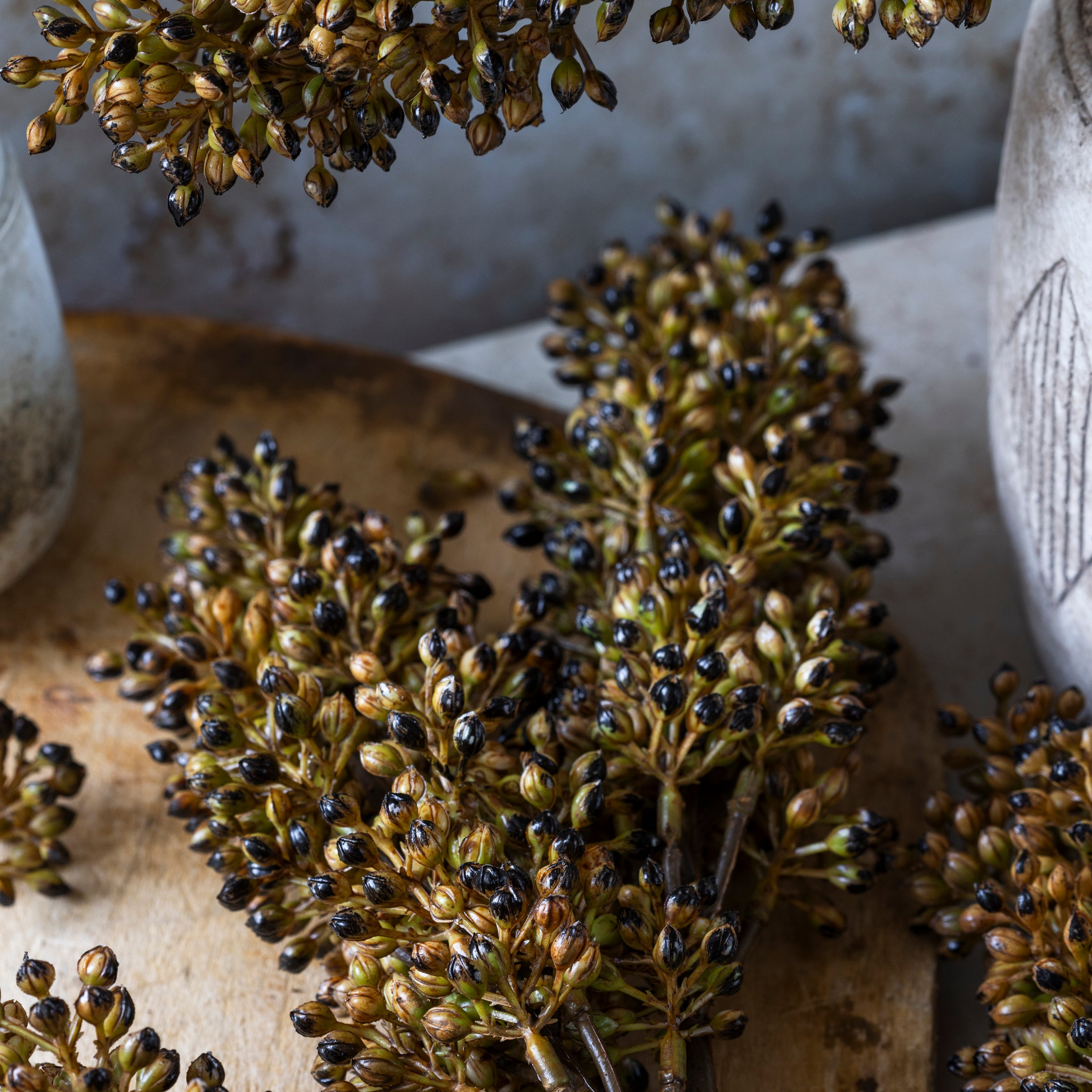 Artificial Sorghum Stem, Umber